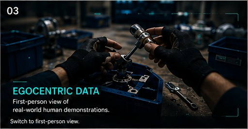 Egocentric video data