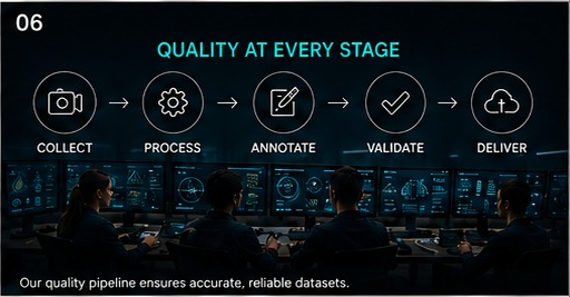 Data annotation and quality